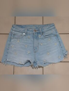 American Eagle Daisy Embroidered Denim Shorts (000)